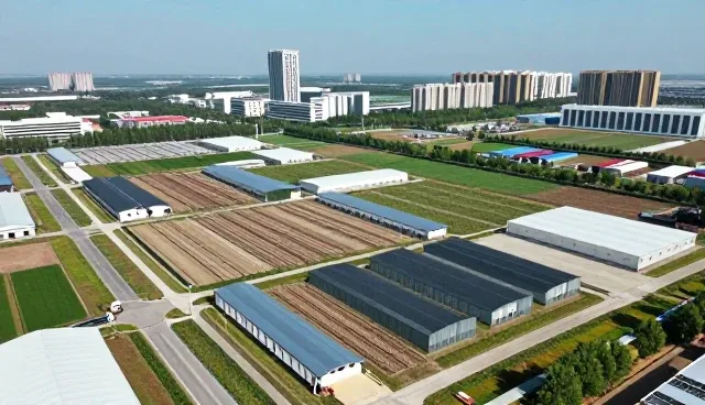 电商运营中网络技术性能如何影响业务表现
